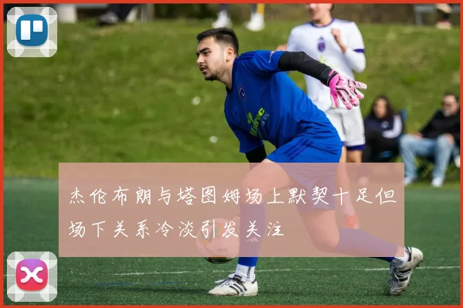 杰伦布朗与塔图姆场上默契十足但场下关系冷淡引发关注