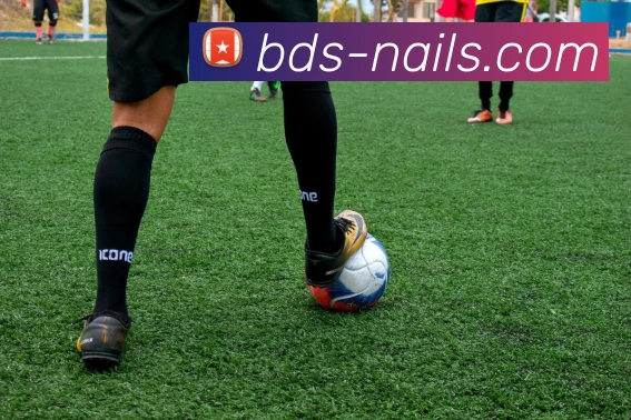 App 展示图